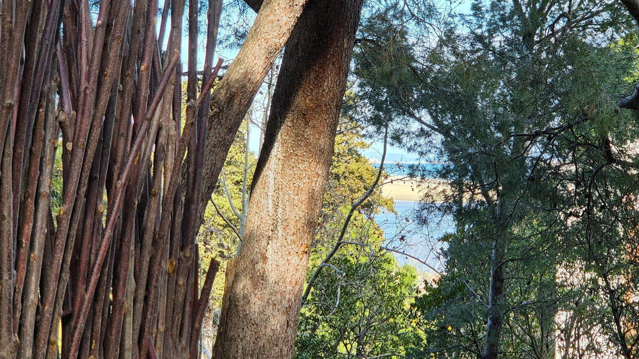 Photo of Others in La Franqui-Plage