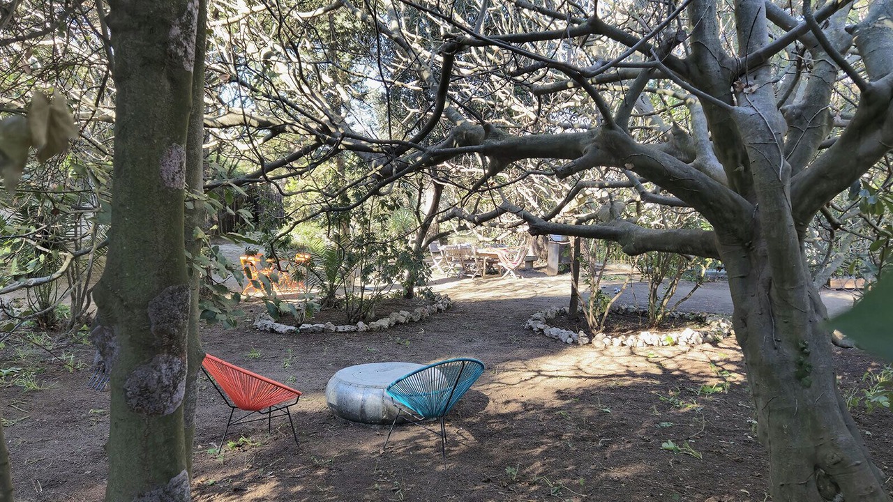 Photo of Outdoor in La Franqui-Plage