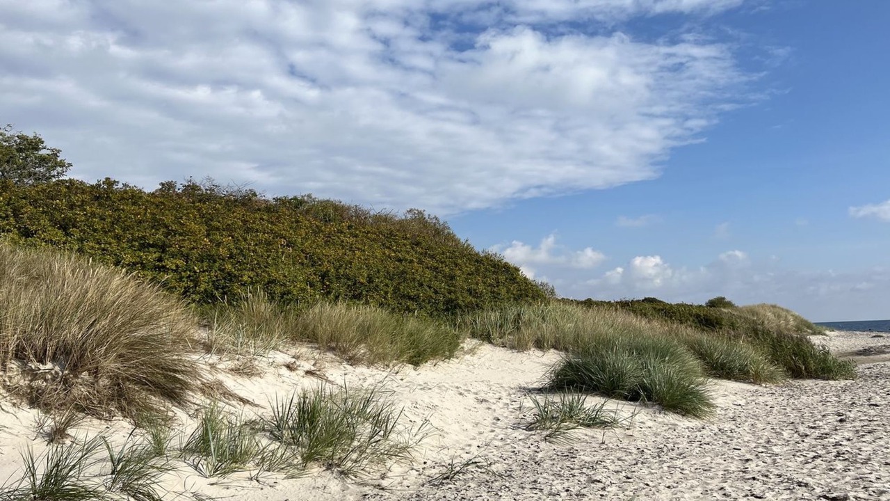 Photo of Outdoor in Pedersker