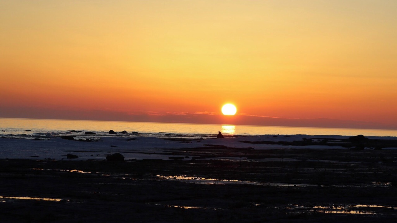 Photo of Others in Providence Bay