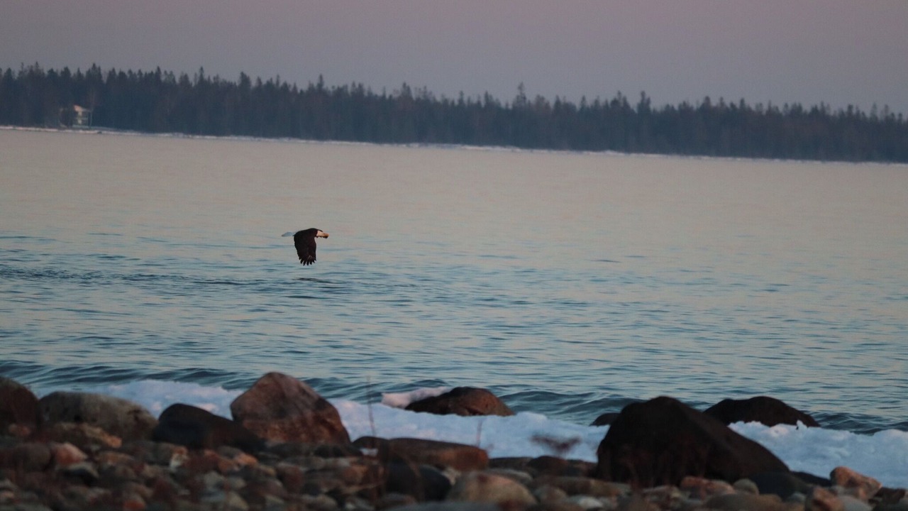 Photo of Others in Providence Bay