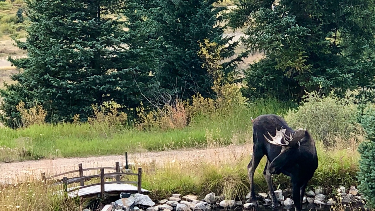 Photo of Others in Alma