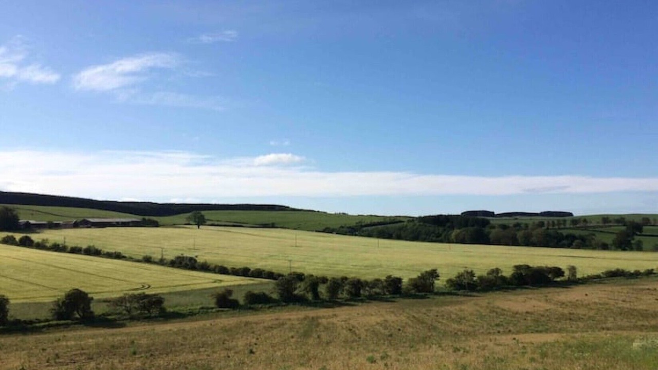 Photo of Others in Maud