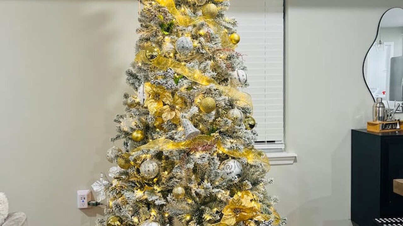 Photo of Others in Hoboken