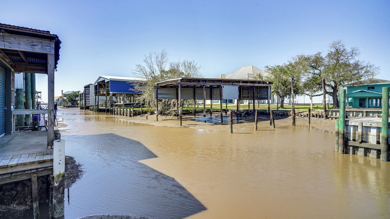 Photo of Others in Cypremort Point