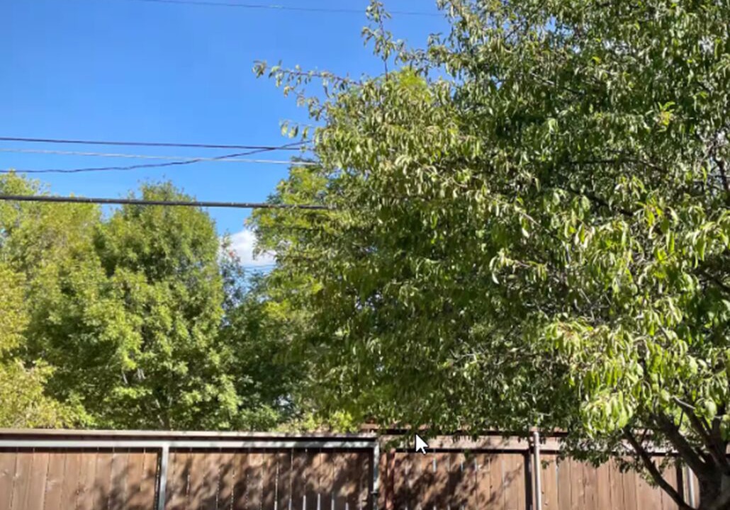 Photo of Outdoor in Brazos