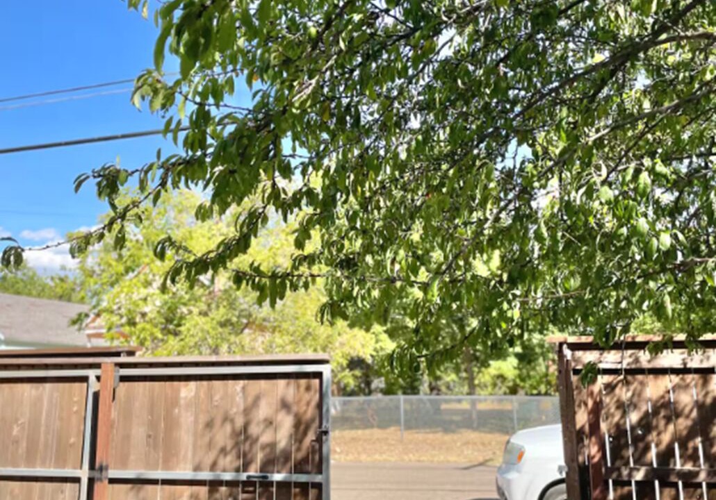 Photo of Outdoor in Brazos