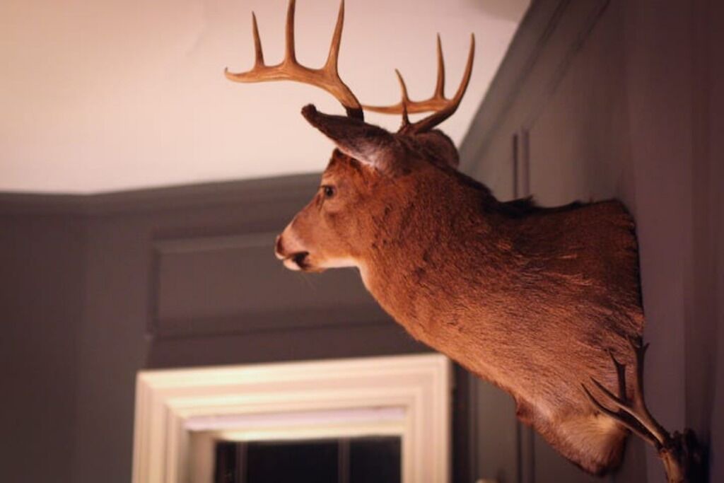 Photo of Others in Burlington