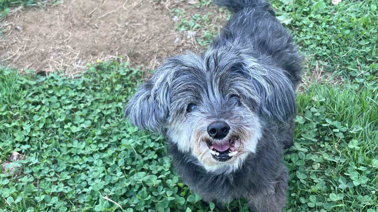 Photo of Outdoor in Waihi