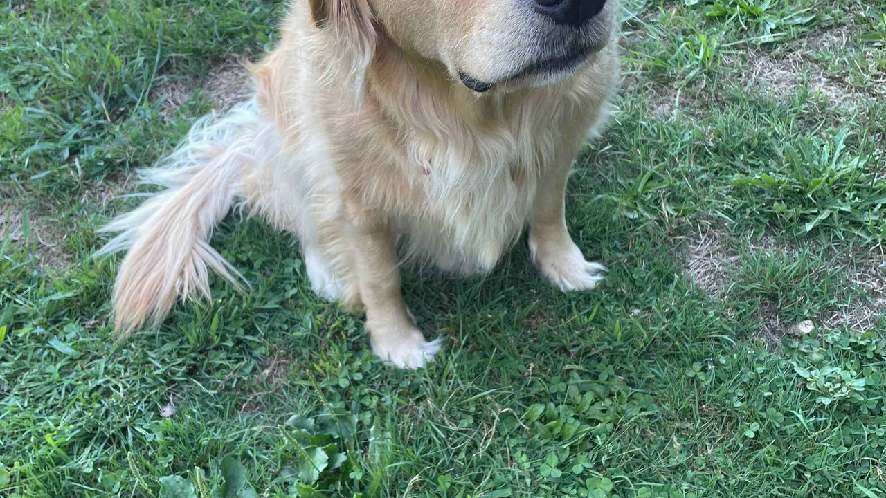 Photo of Others in Waihi