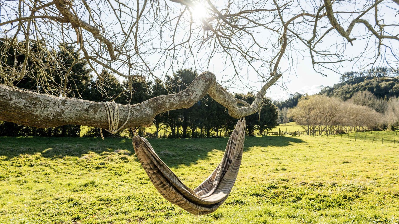 Photo of Others in Waihi