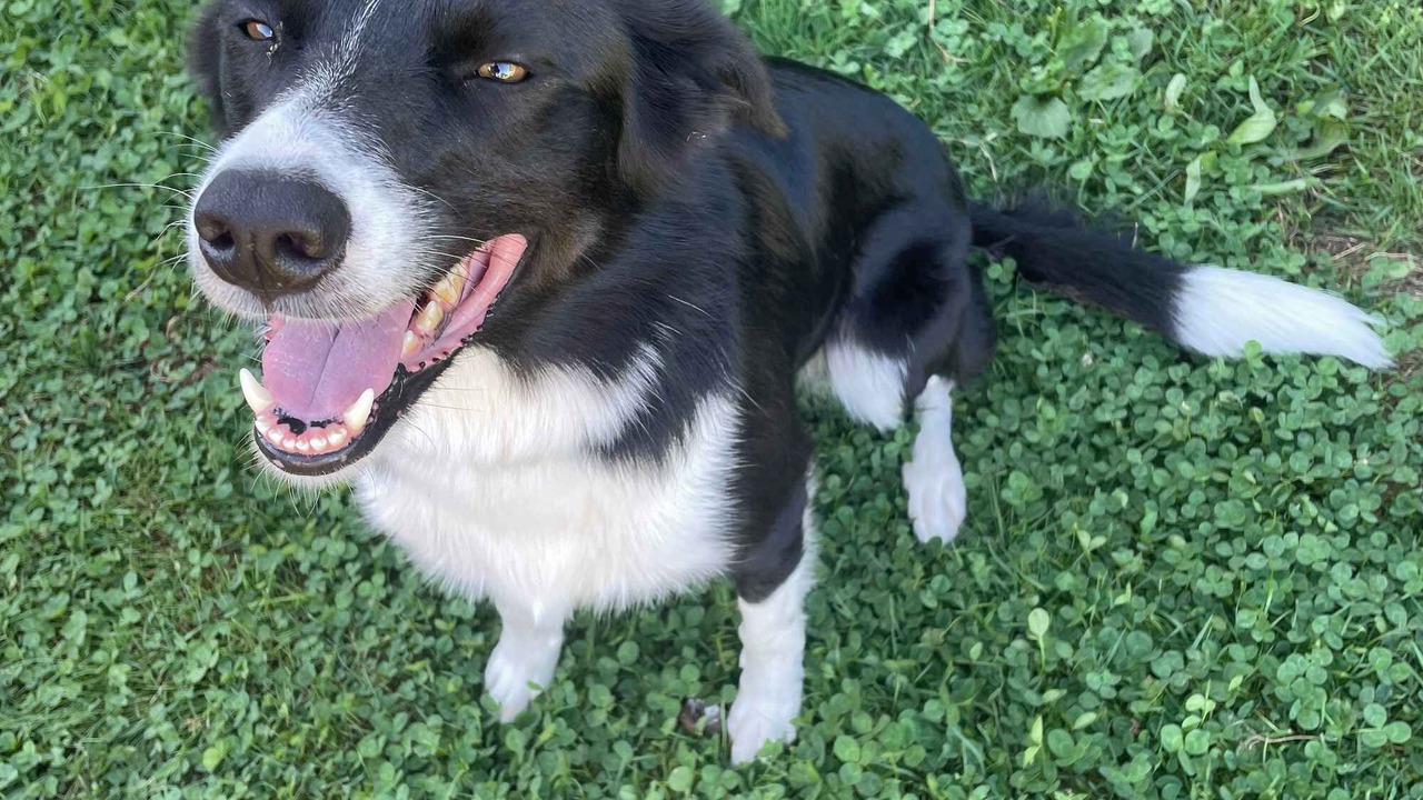 Photo of Others in Waihi