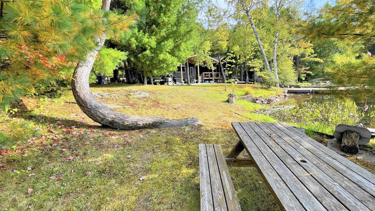Photo of Outdoor in North Kawartha