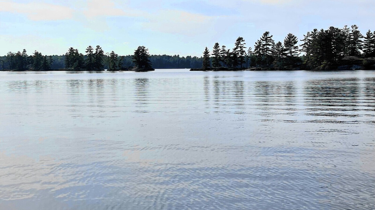 Photo of Others in North Kawartha