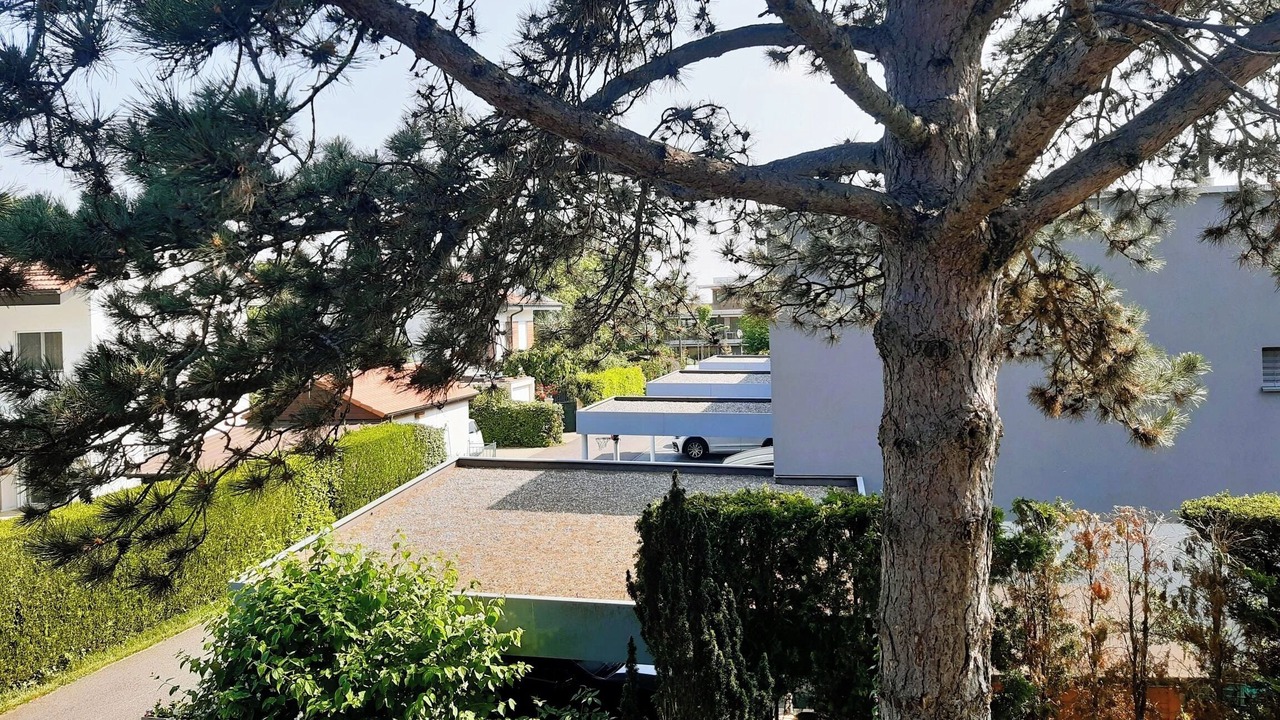 Photo of Outdoor in Veyrier