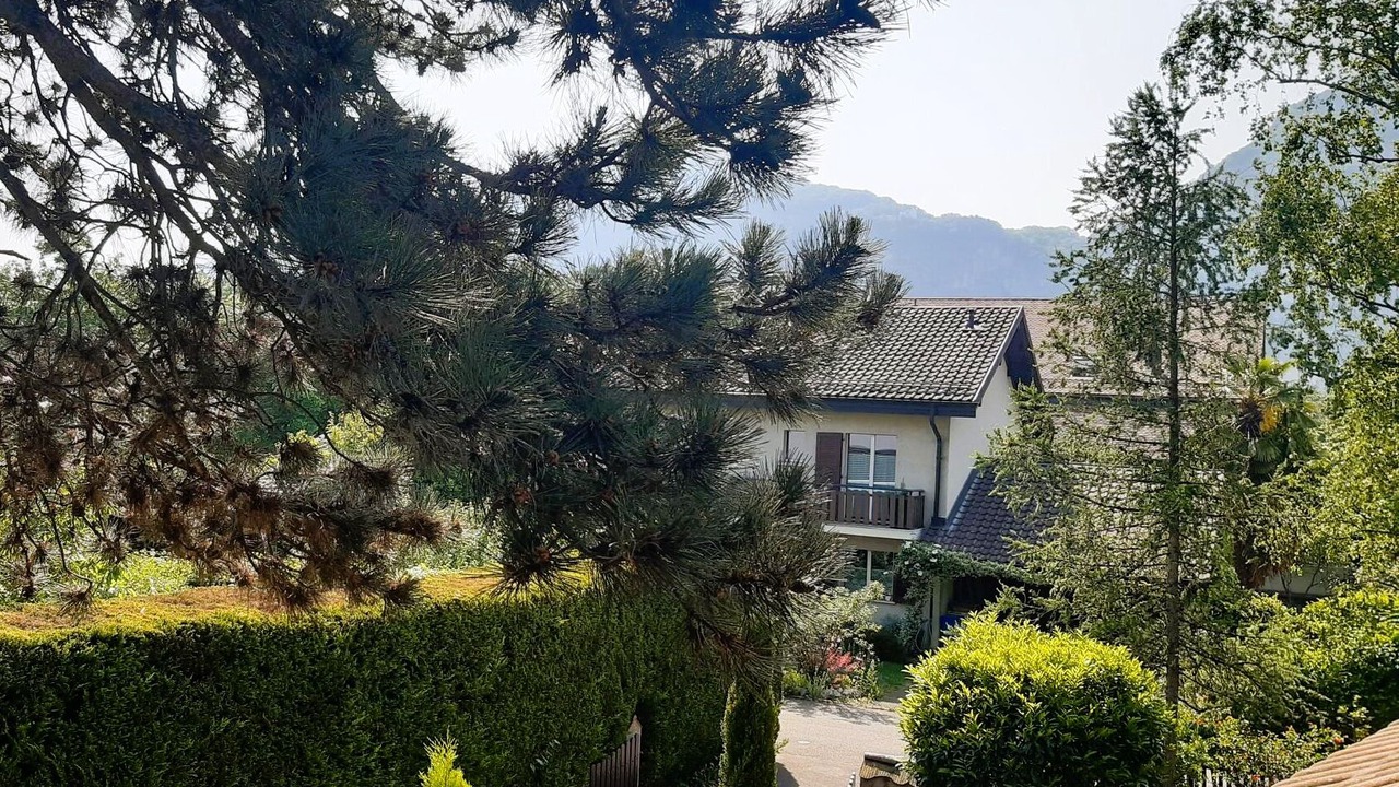 Photo of Outdoor in Veyrier