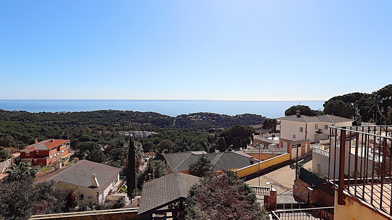 Photo of Others in Lloret Town Center