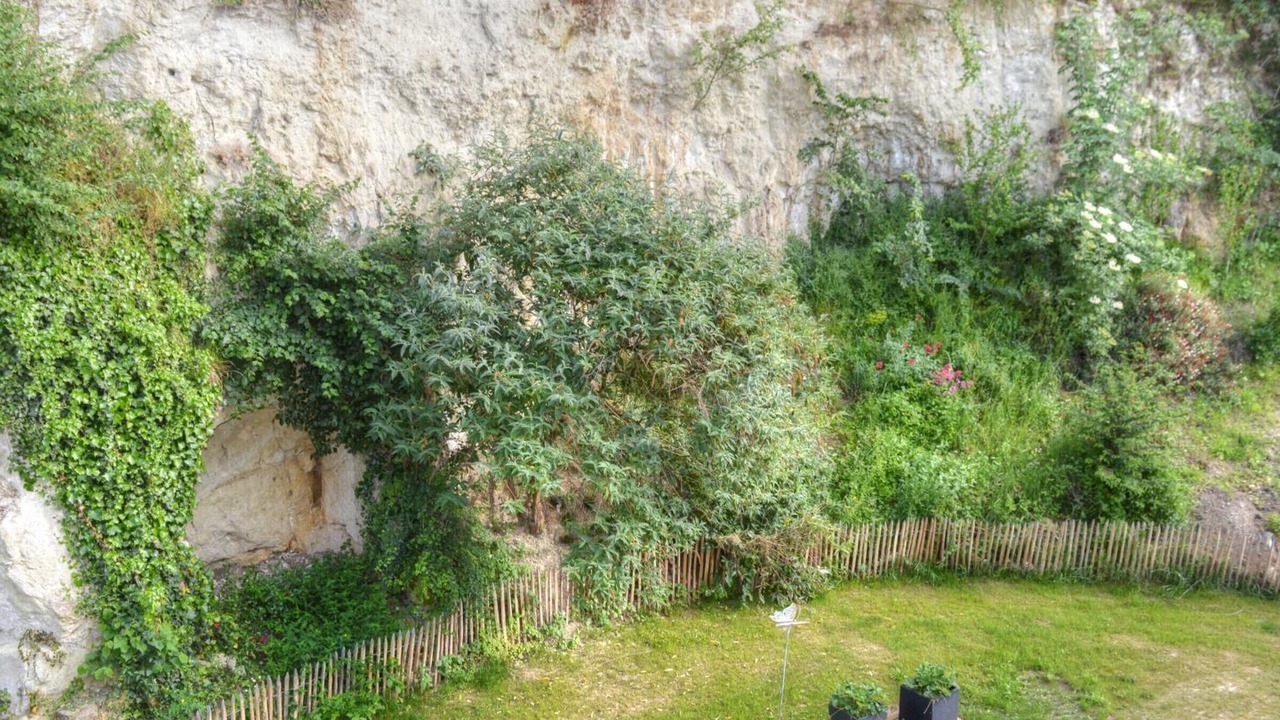 Photo of Outdoor in Saint-Germain-sur-Vienne
