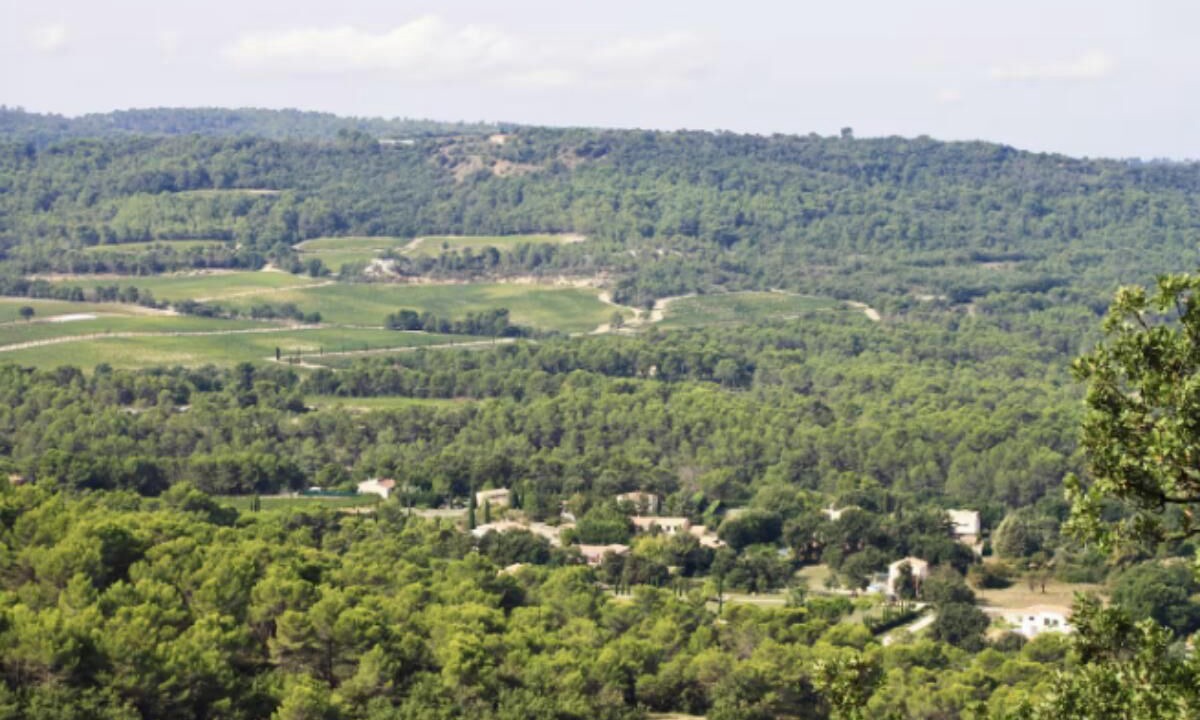 Photo of Others in Le Puy-Sainte-Reparade