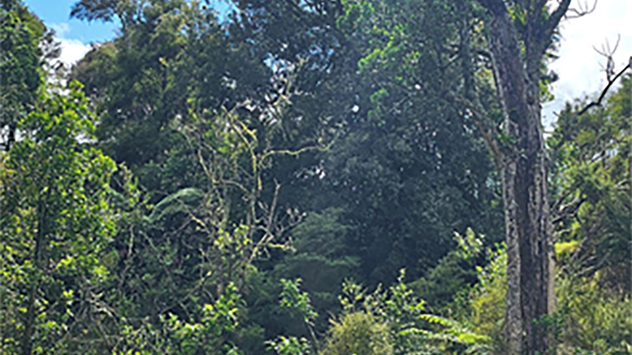 Photo of Others in Ratana