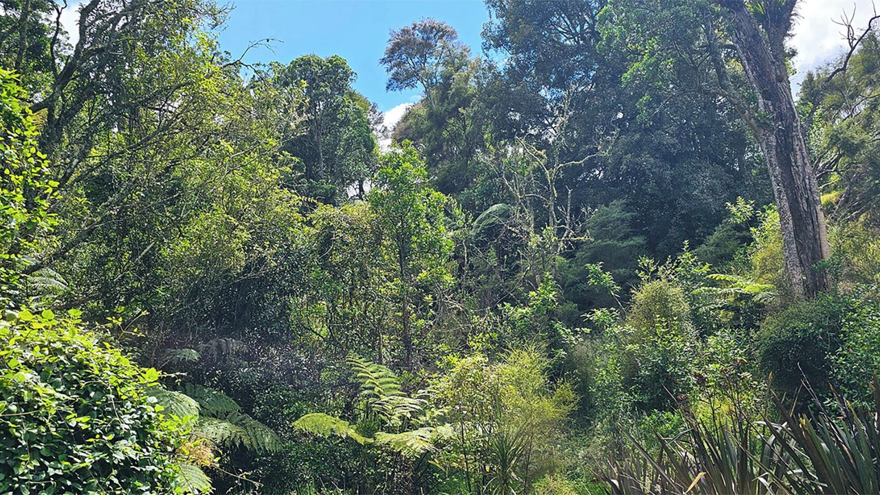 Photo of Others in Ratana