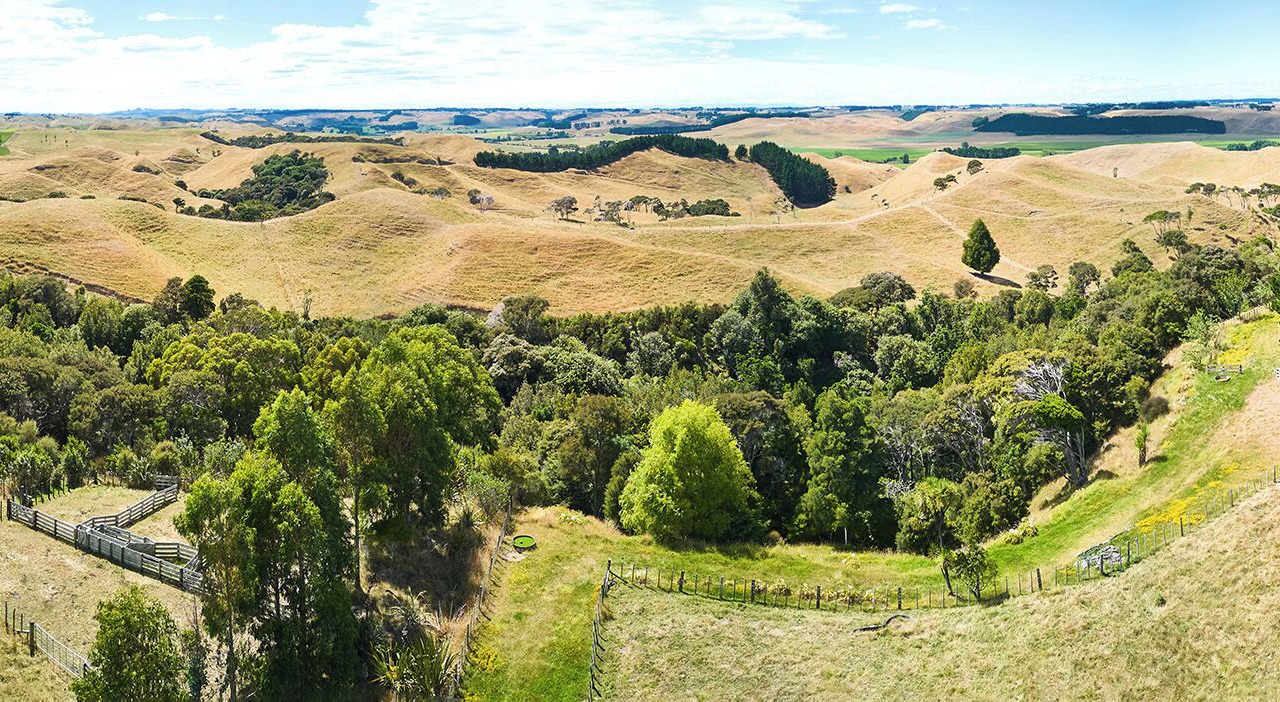 Photo of Others in Ratana