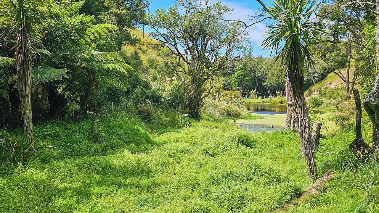 Photo of Others in Ratana