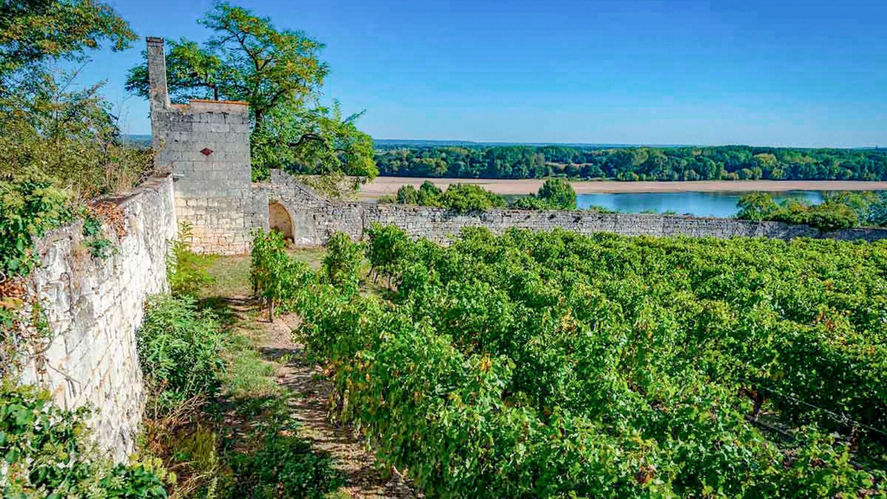 Photo of Others in Montliard