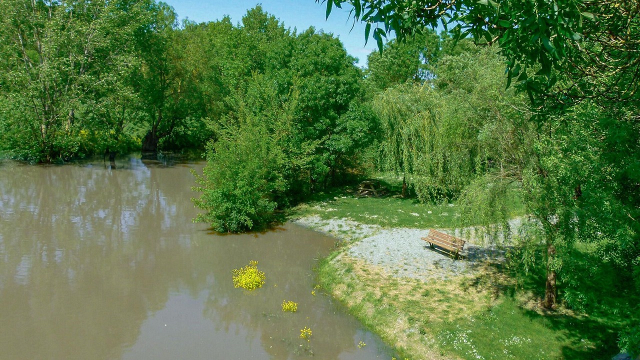 Photo of Others in Montliard