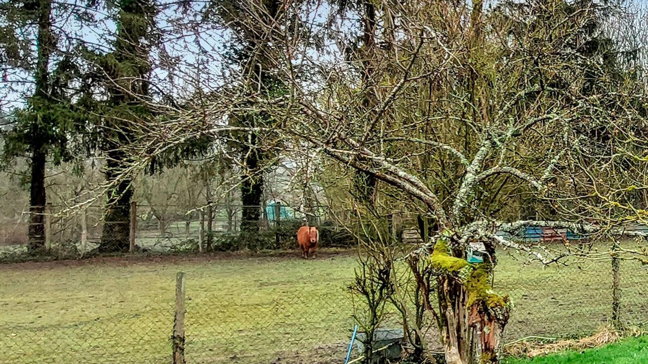 Photo of Others in Montliard