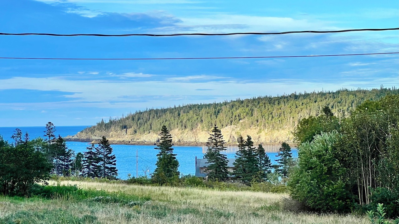 Photo of Outdoor in North Head
