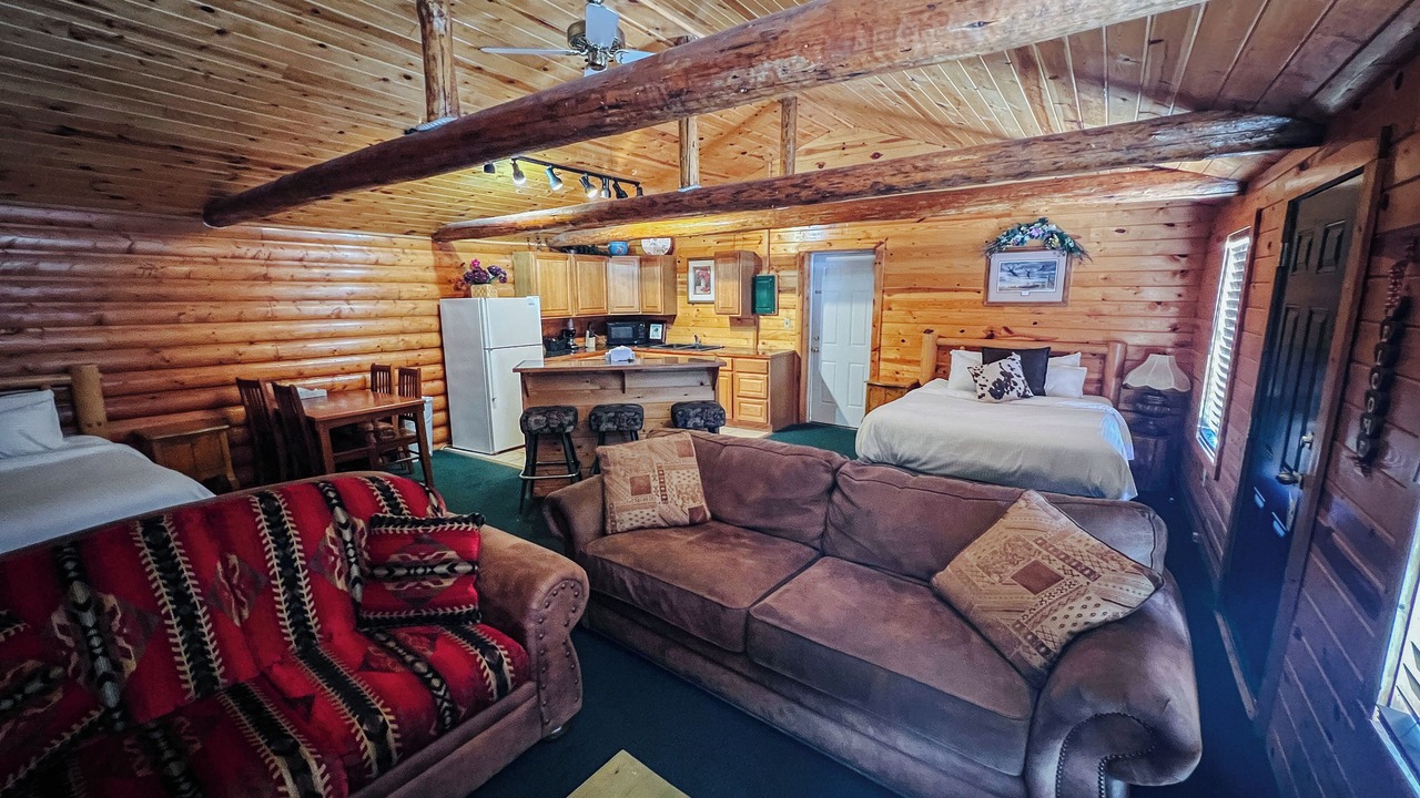 Photo of Livingroom in Last Chance