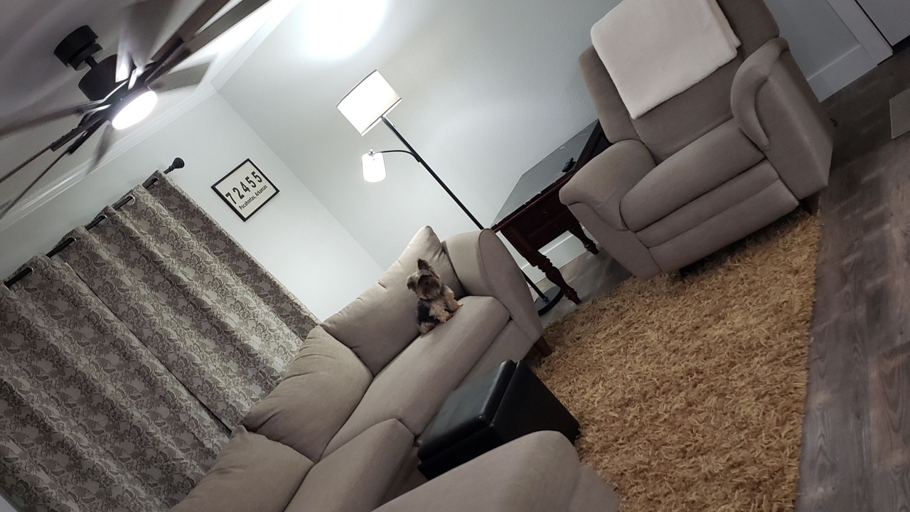 Photo of Livingroom in Pocahontas