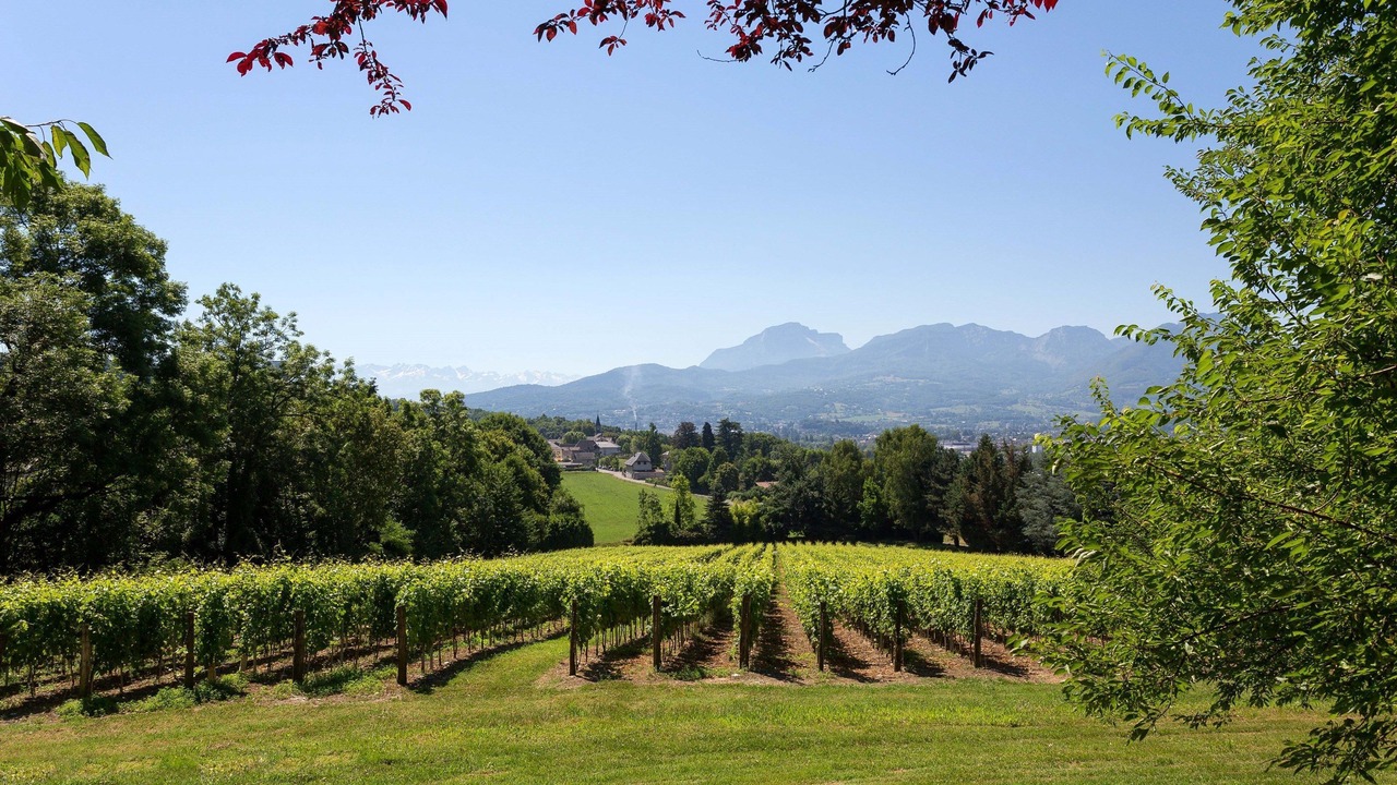 Photo of Others in Chambery