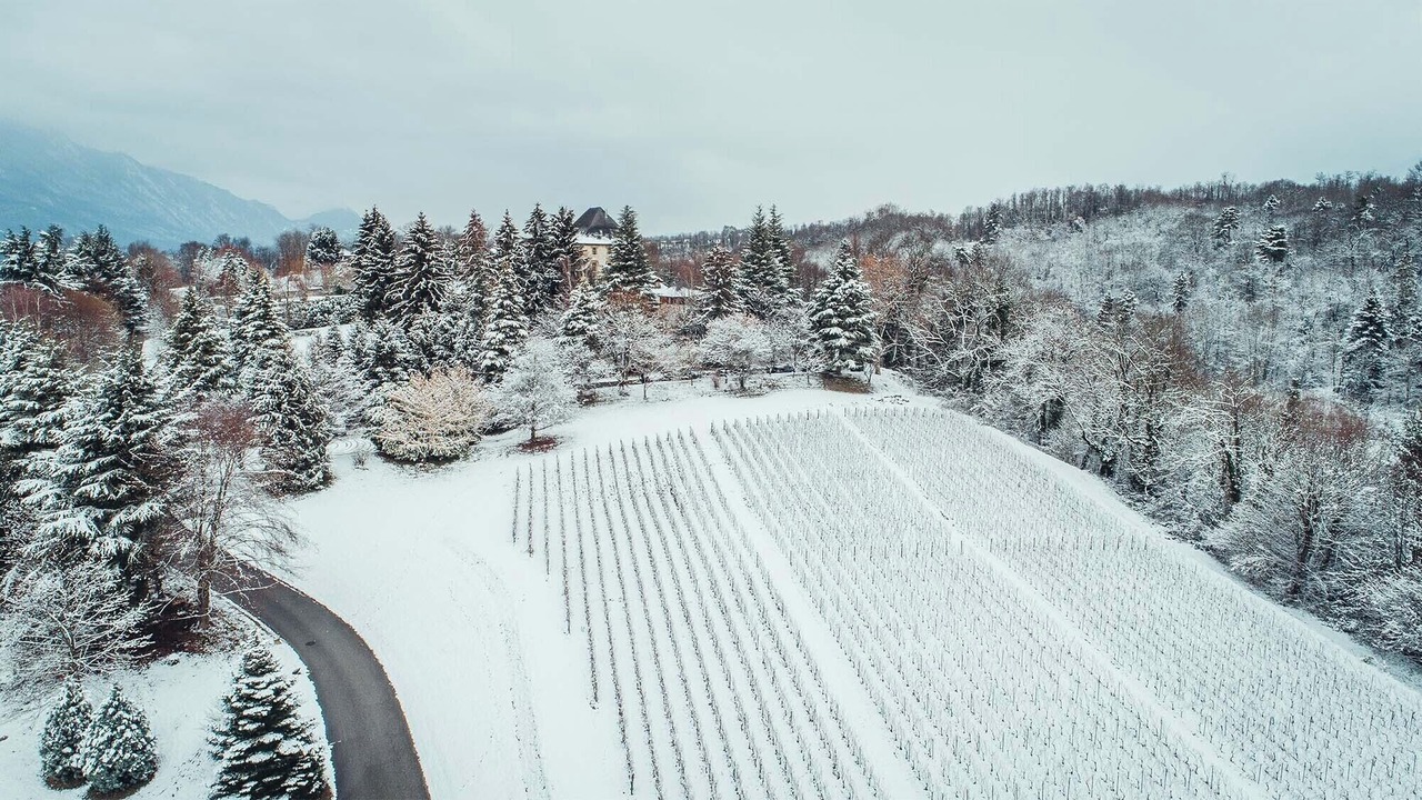Photo of Outdoor in Chambery