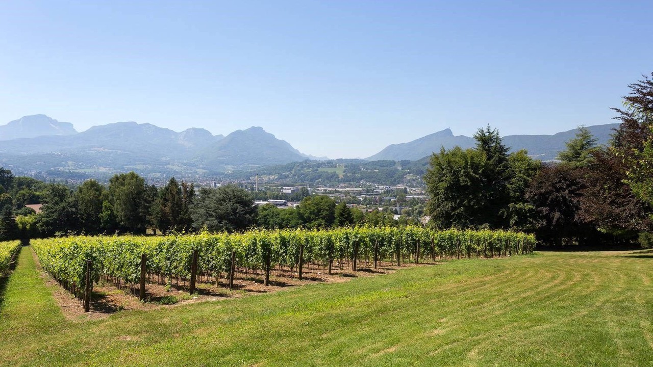 Photo of Others in Chambery