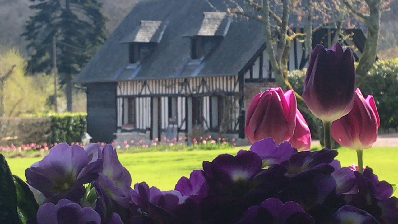 Photo of Outdoor in Genneville