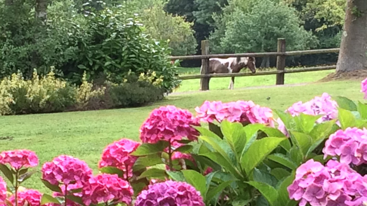 Photo of Outdoor in Genneville