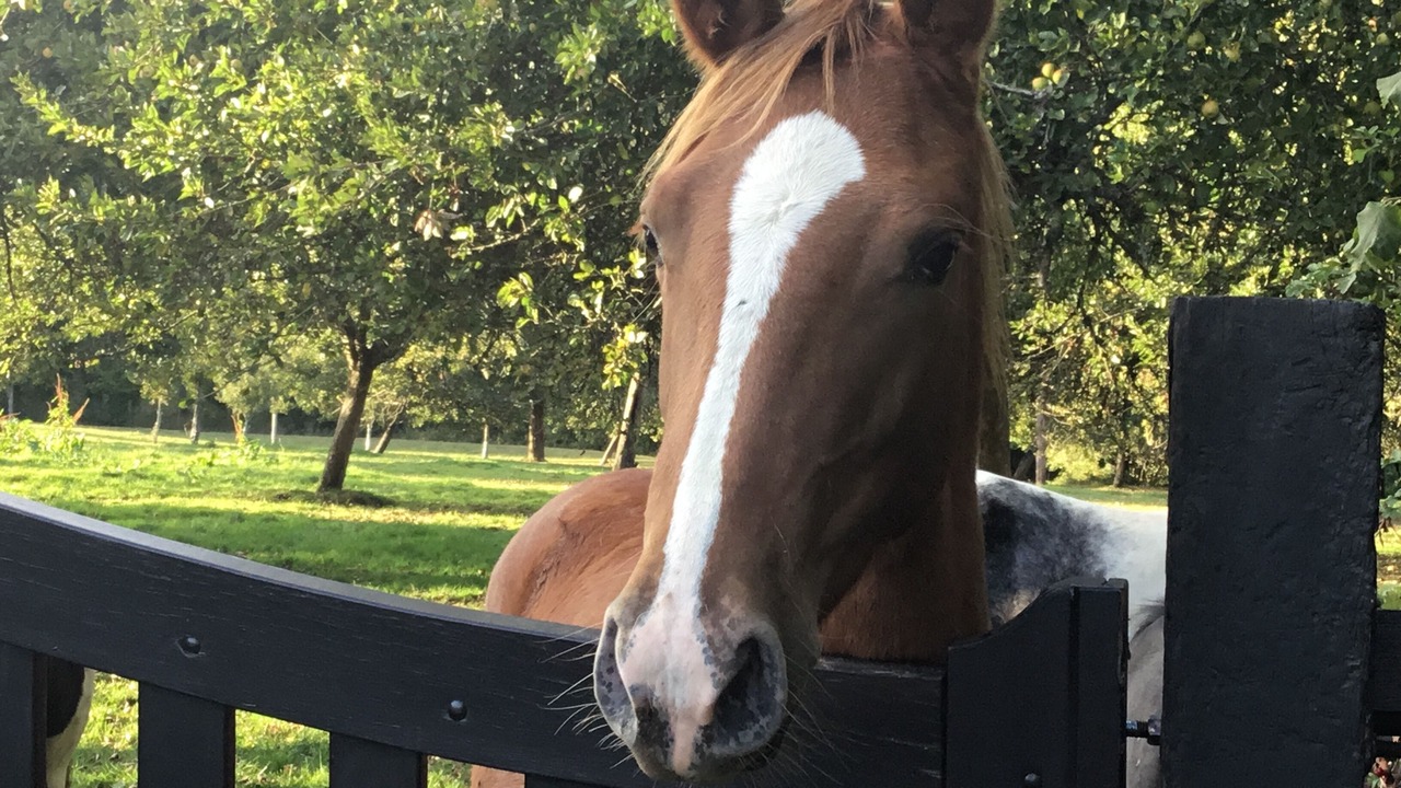 Photo of Others in Genneville