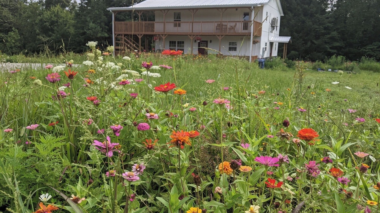 Photo of Outdoor in Whitley City