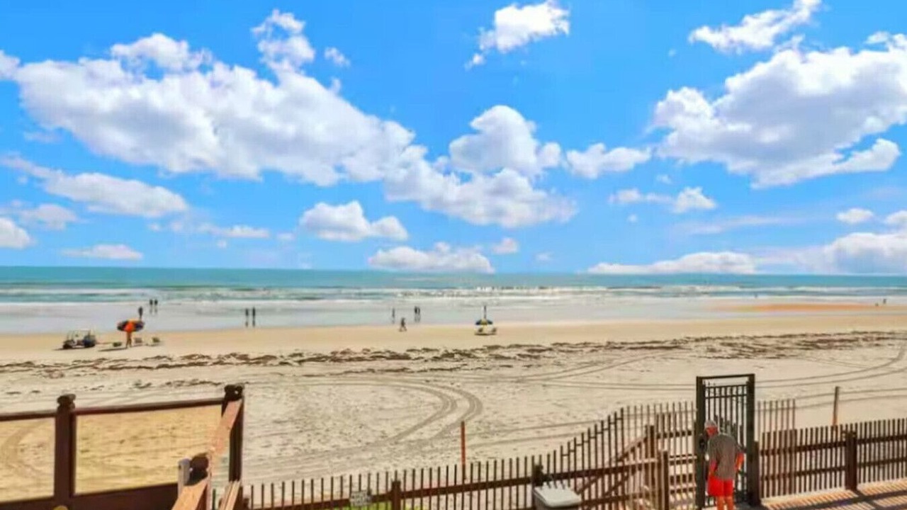 Photo of Others in Bostwick Park