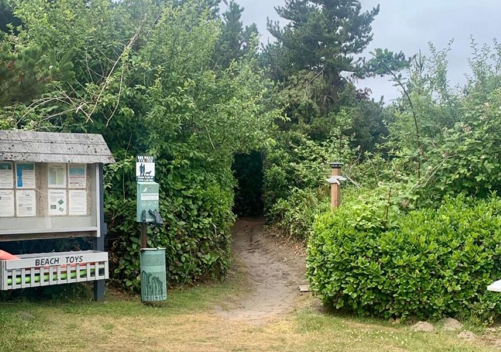 Photo of Outdoor in Ocean Shores