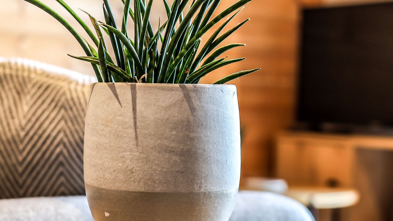 Photo of Others in Wittering