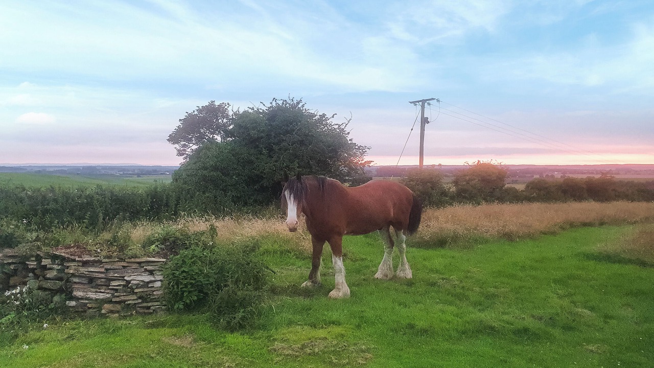 Photo of Others in Aughton