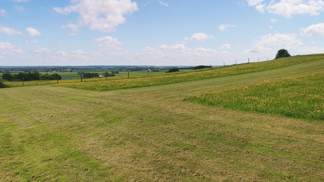 Photo of Others in Aughton