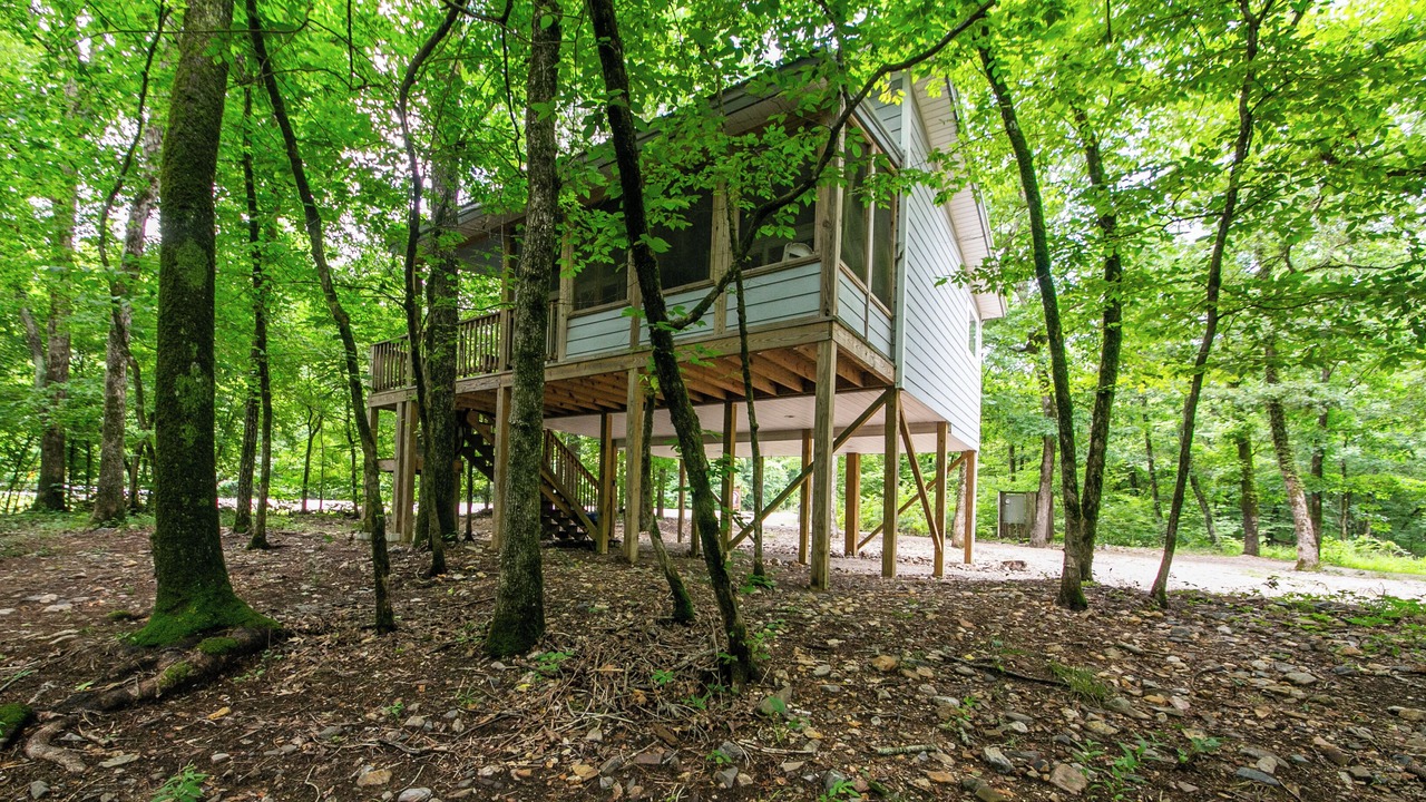 Photo of Outdoor in Jones Mills