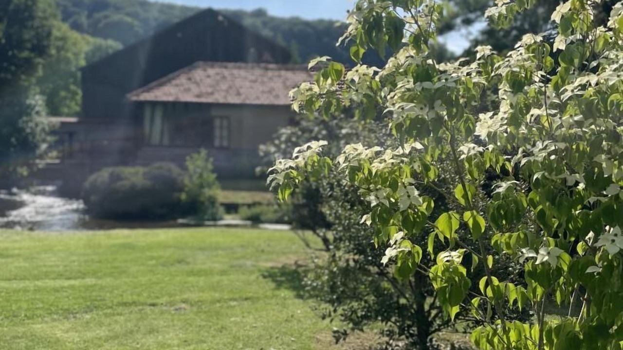 Photo of Outdoor in Saint-Martin-le-Gaillard