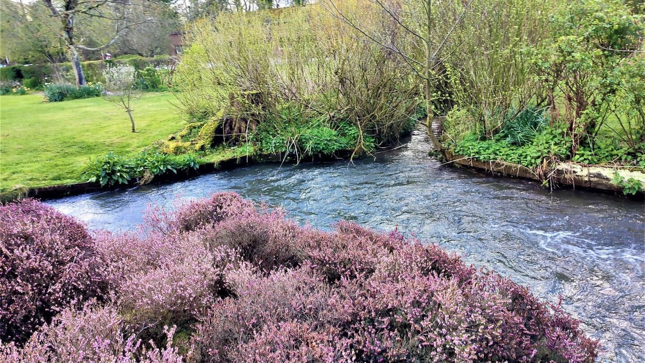 Photo of Outdoor in Saint-Martin-le-Gaillard
