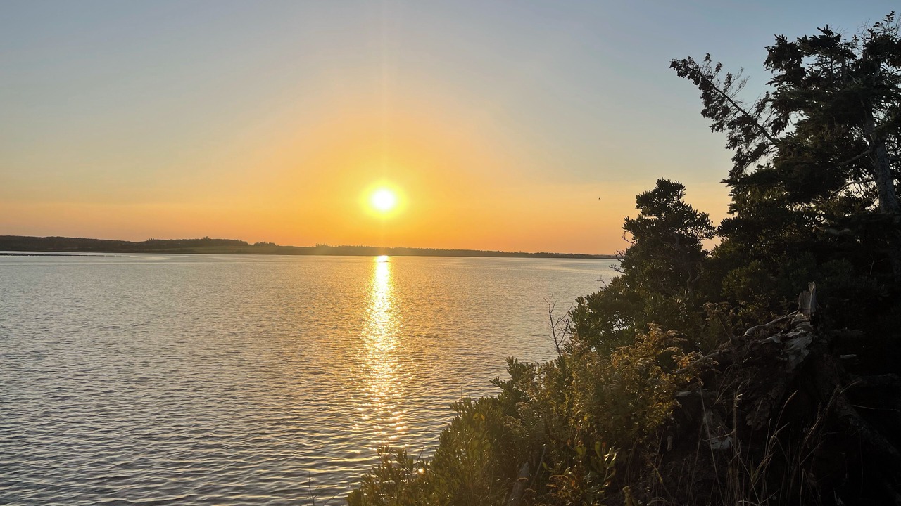 Photo of Others in Stanhope