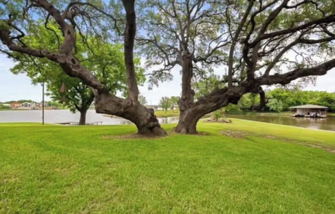 Photo of Outdoor in Kingsland